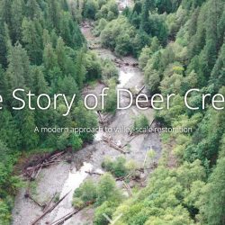 deer creek restoration - mckenzie river, Oregon