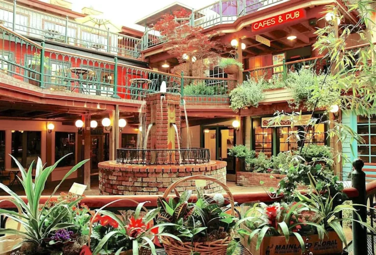 5th street public market 768x520