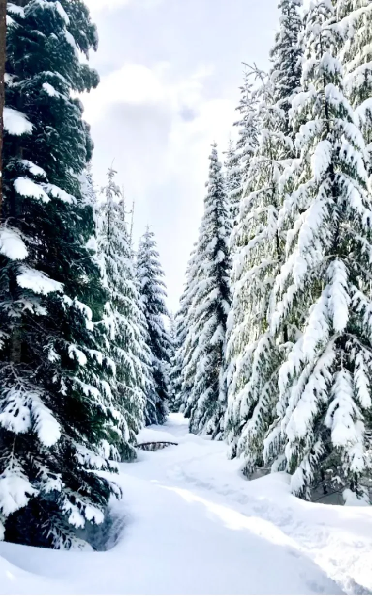 Big Springs Snow Park 1 768x1229