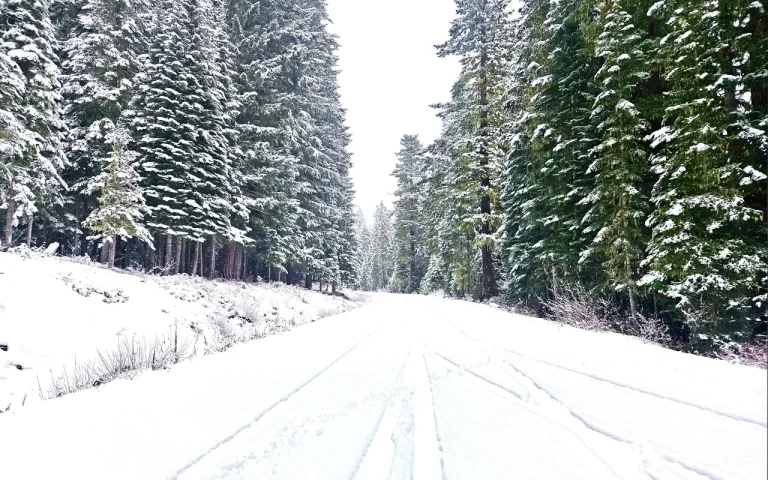 Big Springs Snow Park 2 768x480