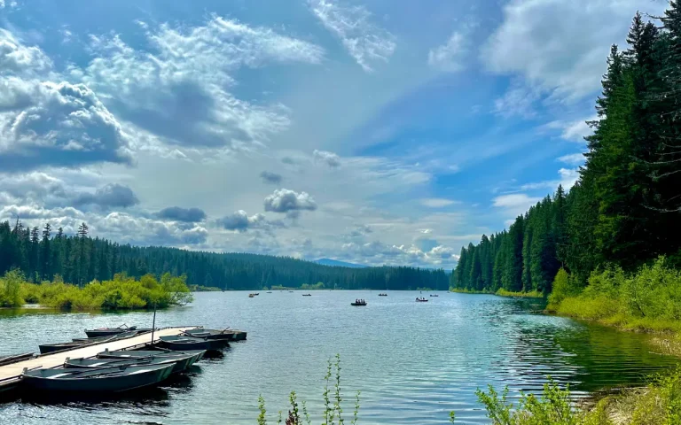 Clear Lake Oregon 768x480