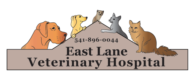 EastLaneVetLogo FullColor BlackText 01 768x299