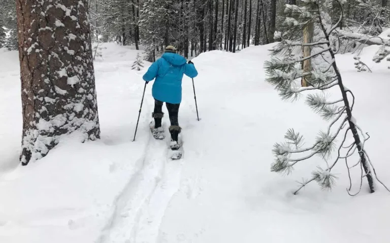 Horse Creek Lodge 2 768x480