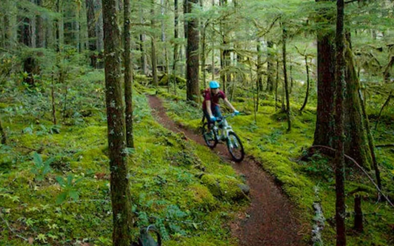 Horse Creek Lodge MTB 768x480