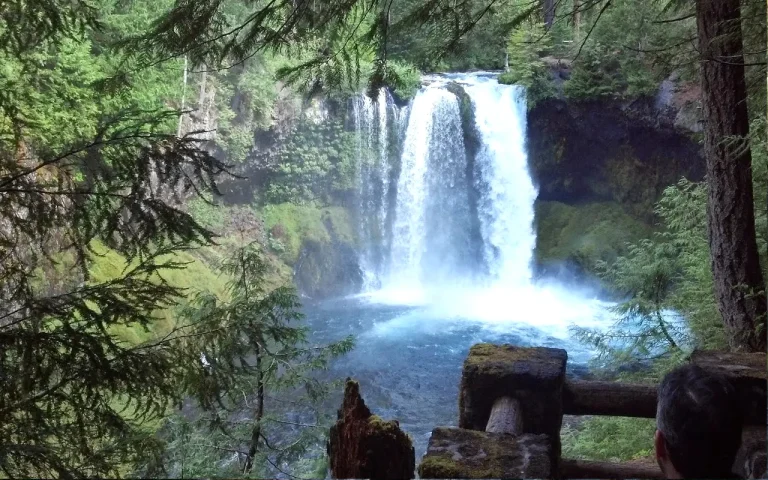 Koosah Falls McKenzie River 2 768x480