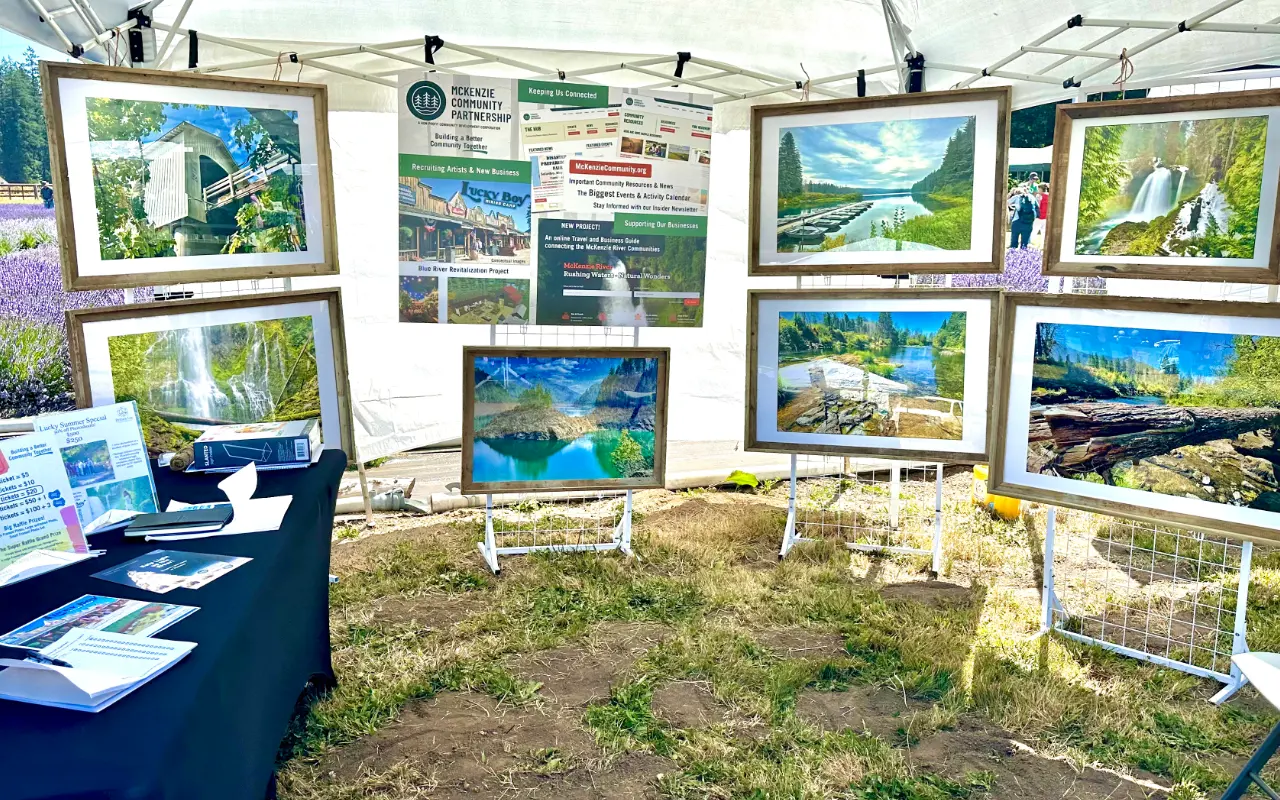 Lavender Bloom - photographer vendor