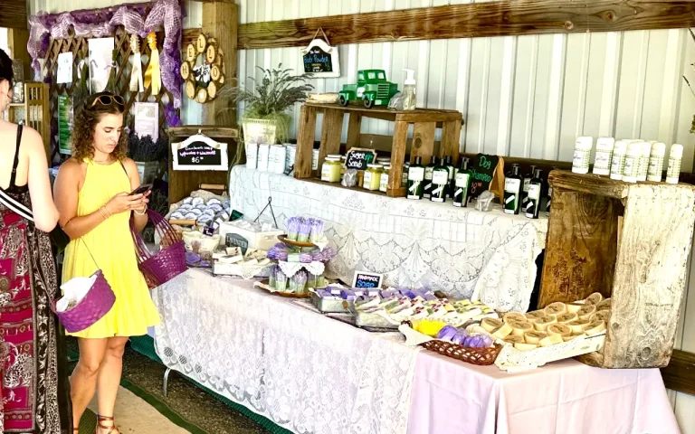 McKenzie River Lavender Festival 4 768x480