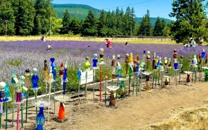 McKenzie River Lavender Festival 7 300x188