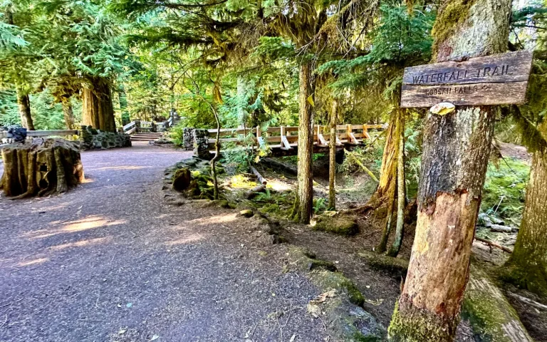 Sahalie Falls Oregon McKenzie River Chris LaVoie 2 768x480