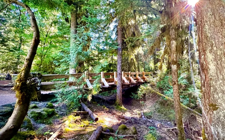 Sahalie Falls Oregon McKenzie River Chris LaVoie 3 768x480