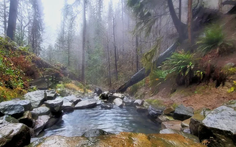 Terwilliger Hot Springs 5 768x480