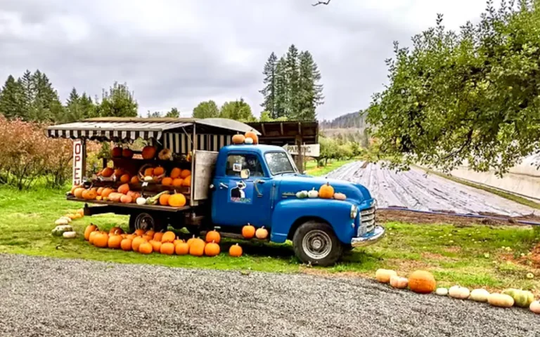 Upriver Organics truckstand 768x480