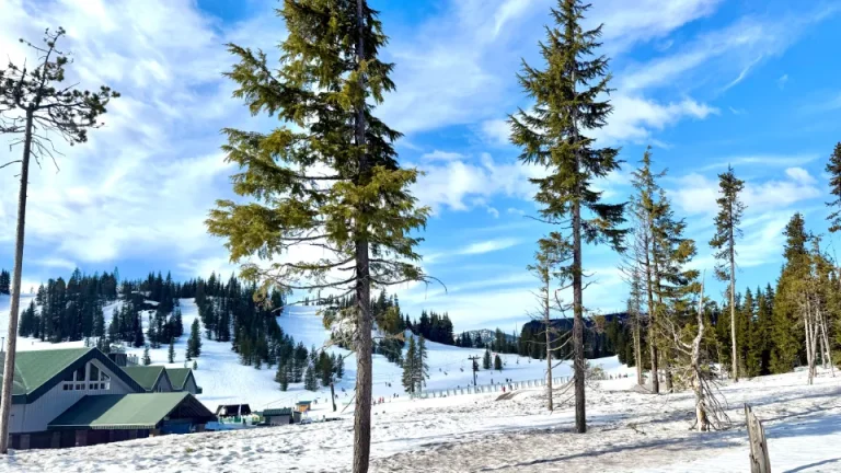 HooDoo ski bunny 768x432