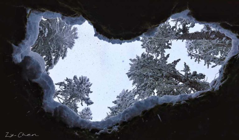 McKenzie River Trail Tamolitch Blue Pool Hike Cave Winter 21 by Zy Chen 1024  768x450