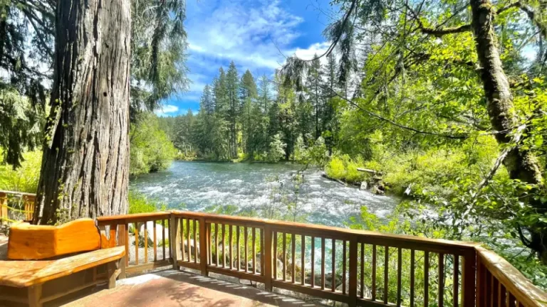 SBL McKenzie River Chris LaVoie 768x432