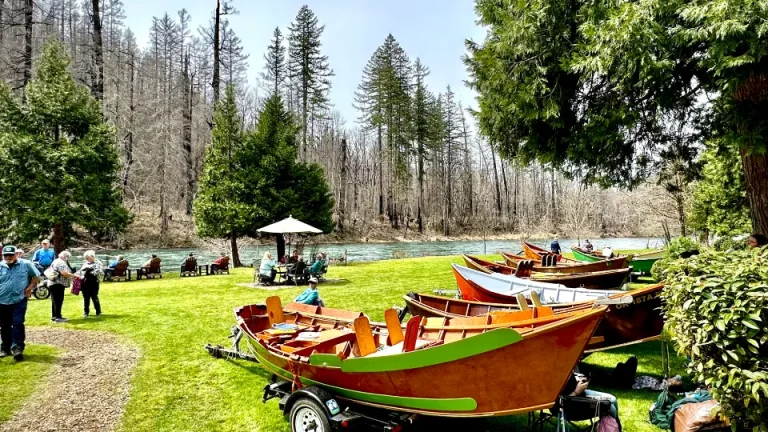 Wooden Boat Festival 1 768x432