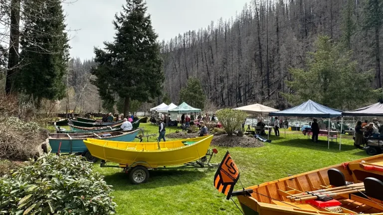 Wooden Boat Show Vida 768x432