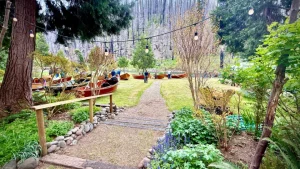 Wooden Boat Show Vida Eagle Rock Lodge 2025 300x169