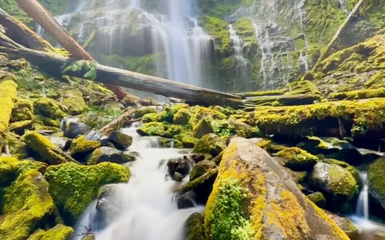 Proxy Falls by Chris LaVoie 2025 768x480