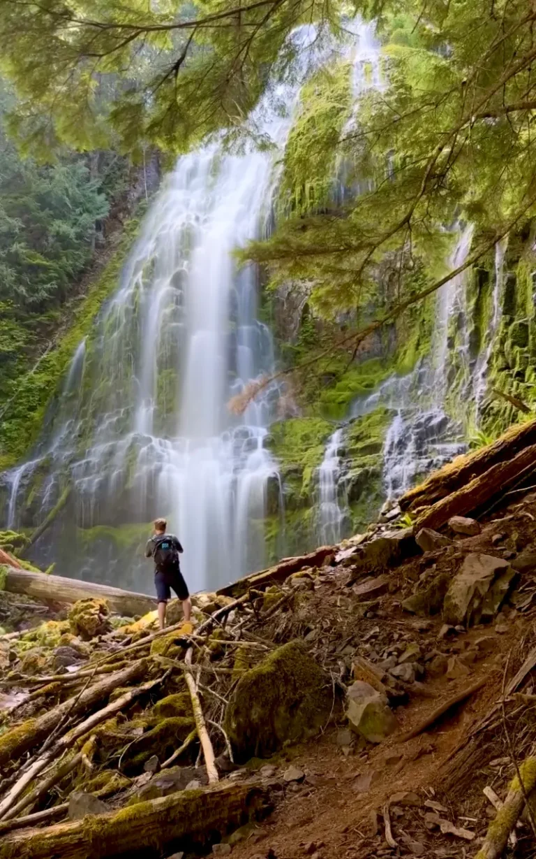 Proxy Falls tall photographer by Chris LaVoie 768x1229