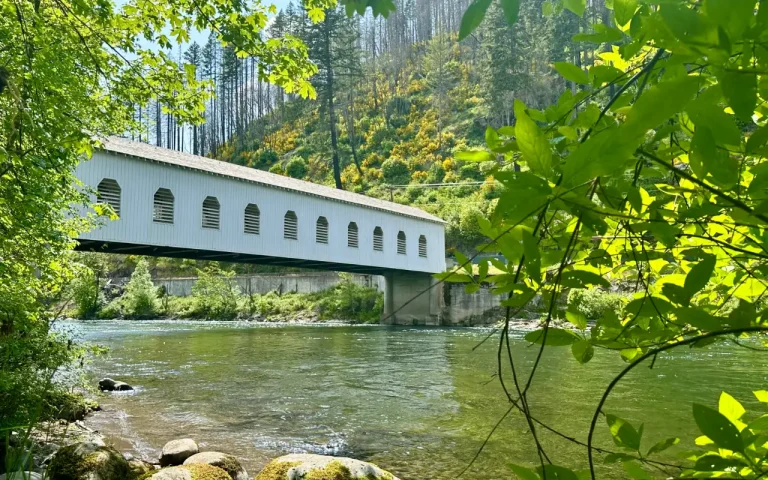 Goodpasture bridge mckenbzie river 768x480
