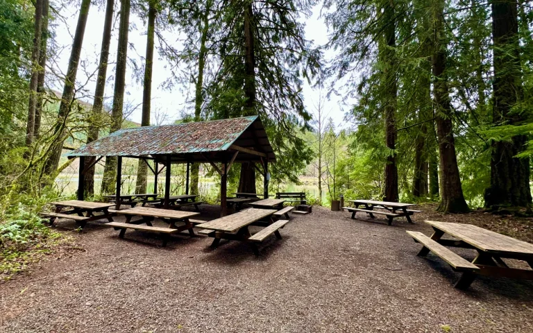 Leaburg Lake Picnic area 768x480