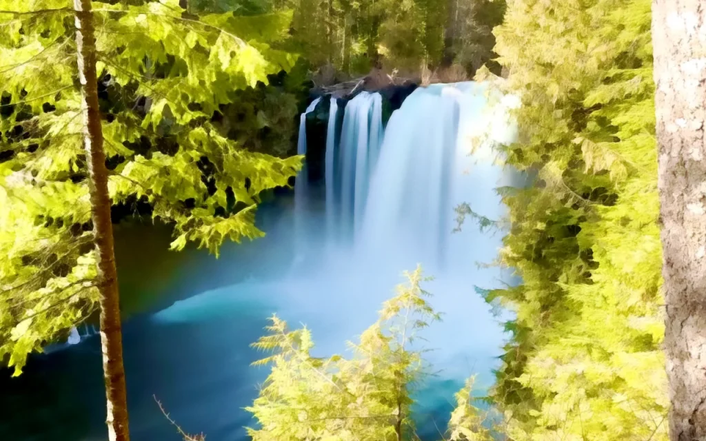 Image credit: Koosah Falls by Chris LaVoie 2025