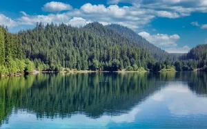 Trail Bridge Campground at Trail Bridge Reservoir along the McKenzie River and McKenzie River Trail.. Photo by Chris LaVoie