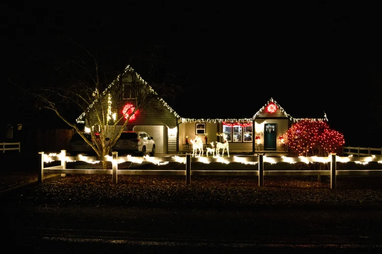 holiday lights house1 768x512
