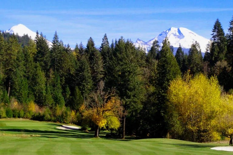 tokatee golf course 2 768x512