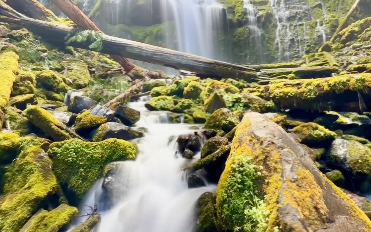 The Subterranean Secret of the McKenzie River: Why This Oregon Gem Defies the Drought