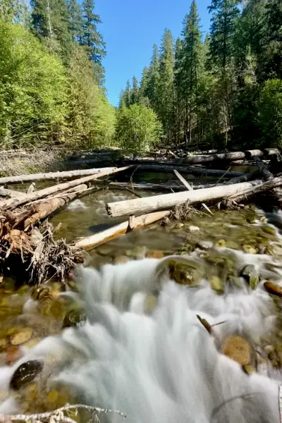 Deer Creek just before it feeds into the McKenzie River.  This area was rehabbed to restore natural fish breeding grounds with great success!  Definitely worth checking out.  Photo Credit - Chris LaVoie