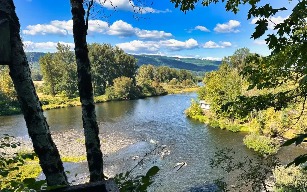 The McKenzie River near Walterville, OR. there are many beautiful waterfront properties that are surprisingly affordable.  Photo Credit - Chris LaVoie