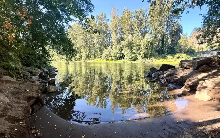 Armitage Boat Launch McKenzie River by Chris LaVoie 768x480