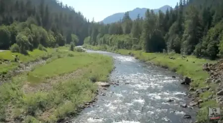 North Fork of the McKenzie River flowing along Aufdeheide Dr - photo by Rick Dancer