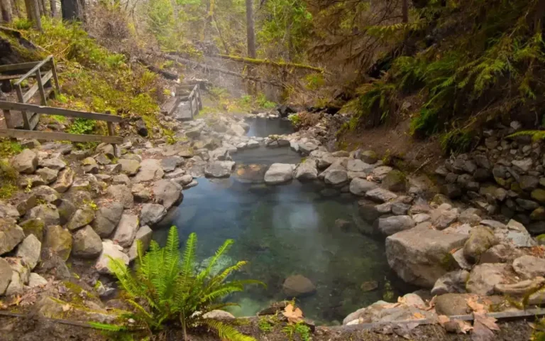 Aufderheide Terwilliger Hot Springs 768x480