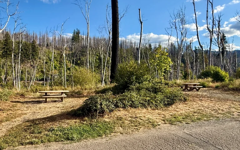Ben and Kay Dorris picnic 768x480