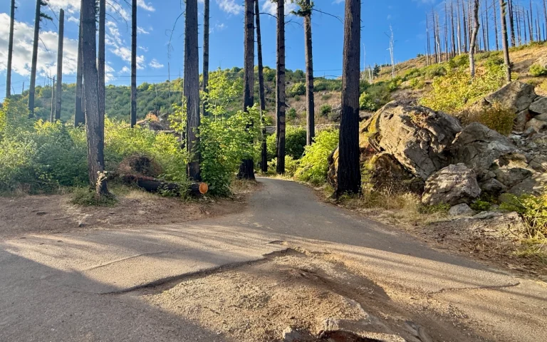 Ben and Kay Dorris road to boat launch 768x480