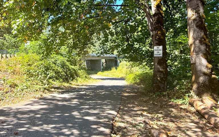 Deerhorn Boat Launch road to ramp 768x480