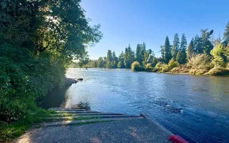 Harvest Lane Boat Launch McKenzie River view by Chris LaVoie 768x480