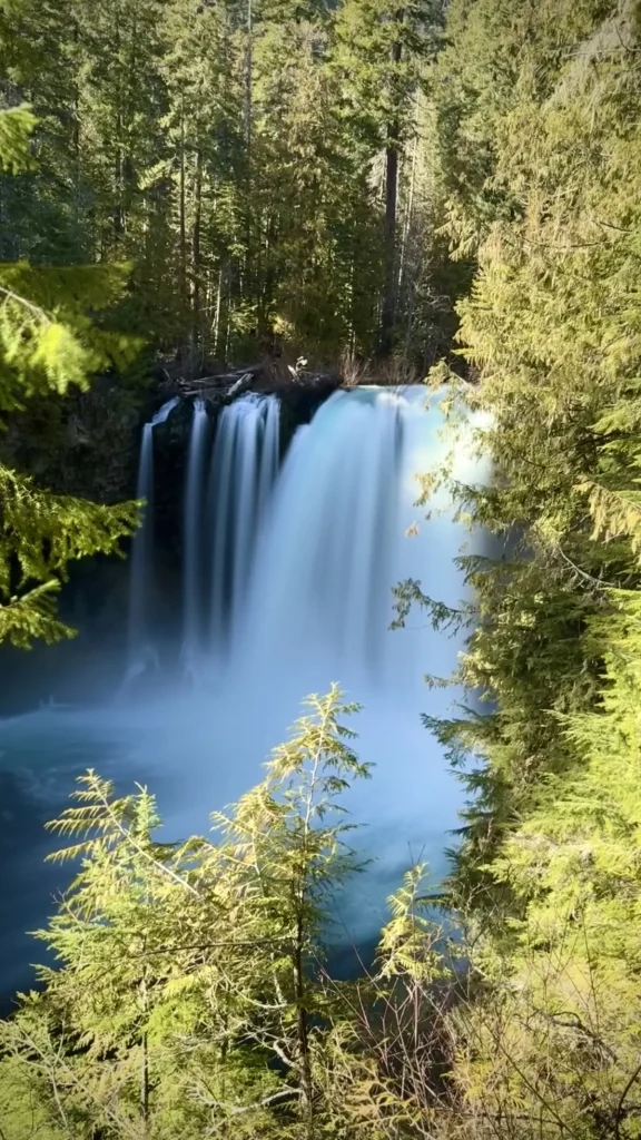 Koosah Falls, McKenzie River, Oregon by Chris LaVoie