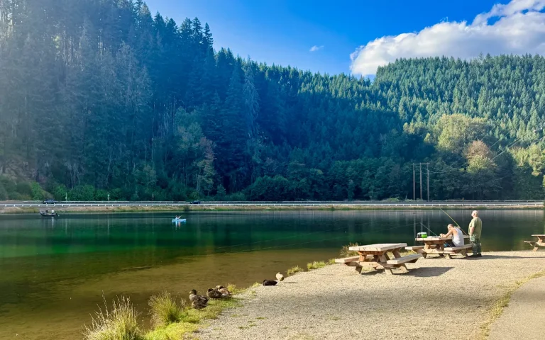Lloyd Knox Park Launch Leaburg Lake 768x480