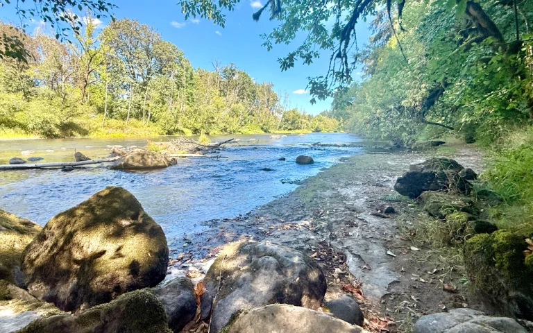 Taylor Landing McKenzie River hidden beach 768x480