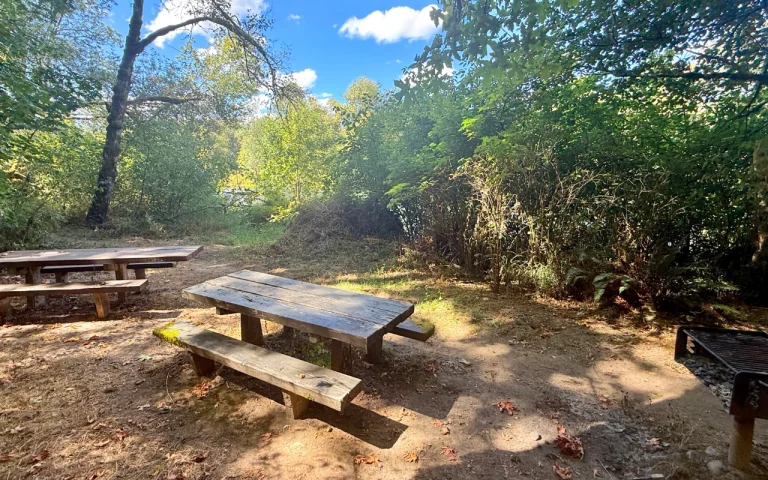 Taylor Landing McKenzie River picnic day use area 768x480