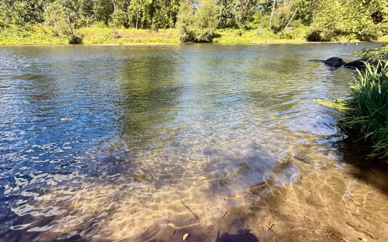 Taylor Landing McKenzie River shallow wading water 768x480
