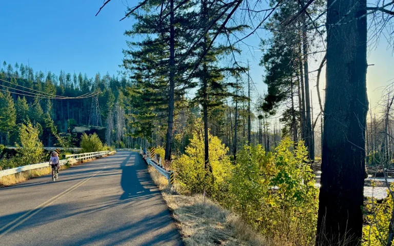 Aufderheide hwy19 scenic bikeway cyclist 768x480