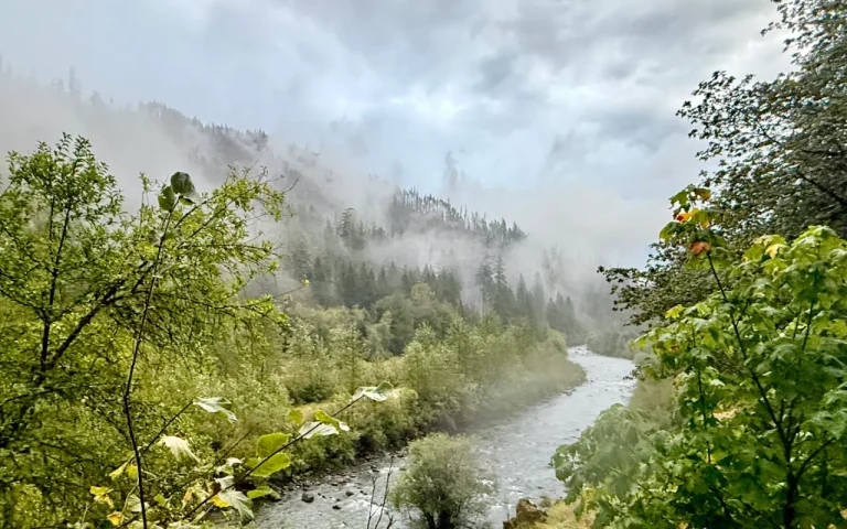 Cougar Crossing Camground Aufderheide South Fork McKenzie River by Chris LaVoie 768x480