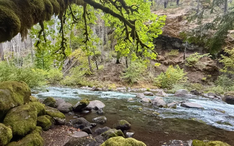 Cougar Crossing Campground Aufderheide South fork McKenzie River by Chris LaVoie 768x480
