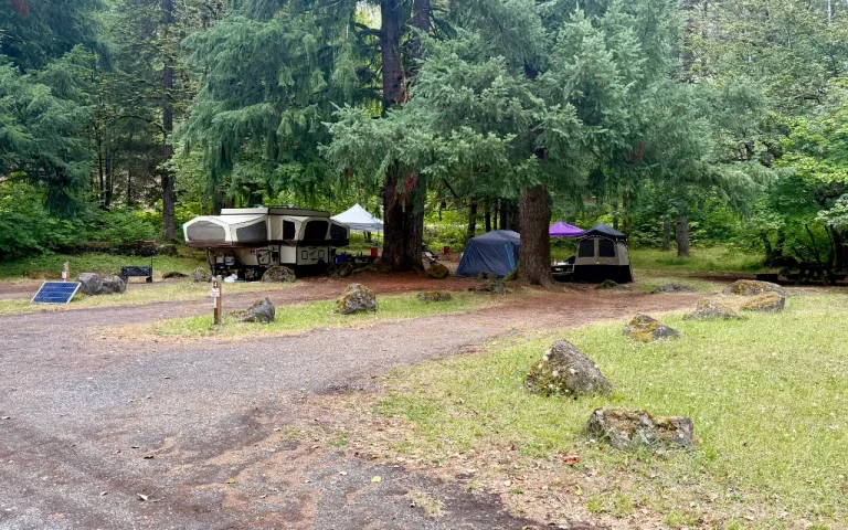 Cougar Crossing Campground campsites 1 768x480