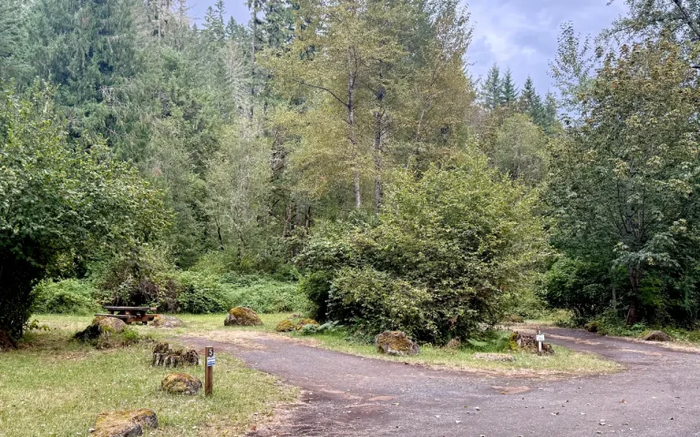Cougar Crossing Campground campsites 768x480
